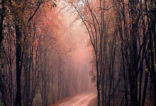 这比分全运会女足U18组资格赛，浙江队18-0狂胜黑龙江队.