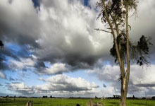 戏剧性两度加时挫斯里兰卡 我国英式女篮队重夺亚洲冠军.