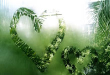 米兰体育官网：王楠一家近照，47岁越来越美，儿女双全，富豪老公很宠她.