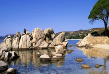 米兰体育官网：全英羽毛球公开赛：国羽表现强势 斩获一半4强席位2025-03-15.